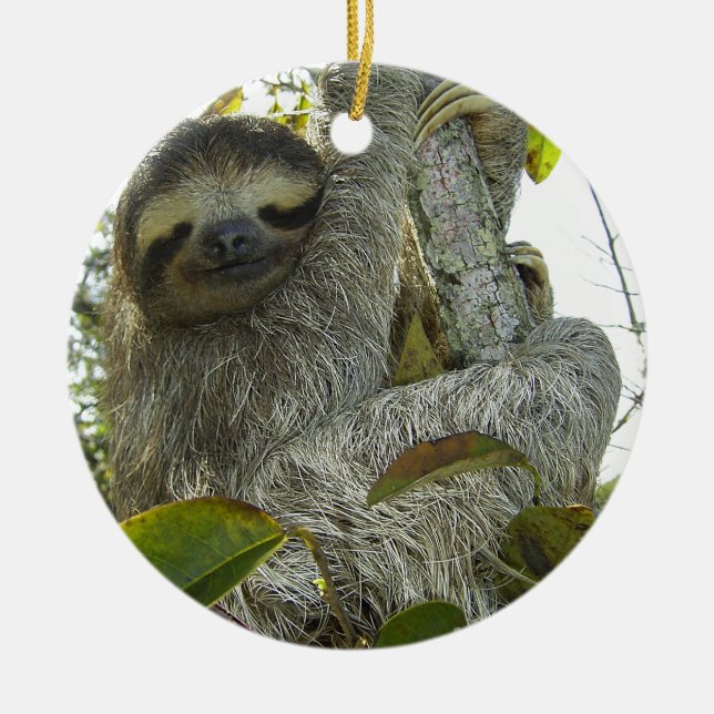 Sloth Ceramic Ornament (Front)