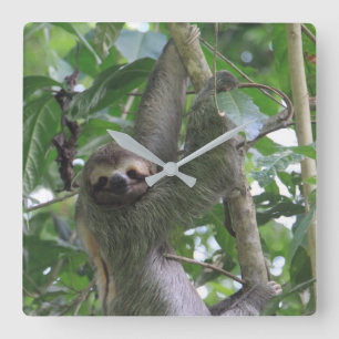 Sloth Clock