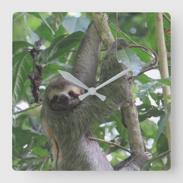 Sloth Clock (Front)