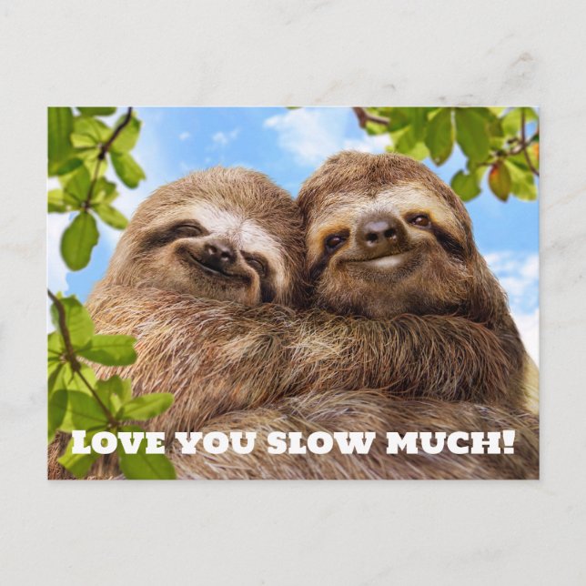 Sloth Couple Invitation Postcard (Front)