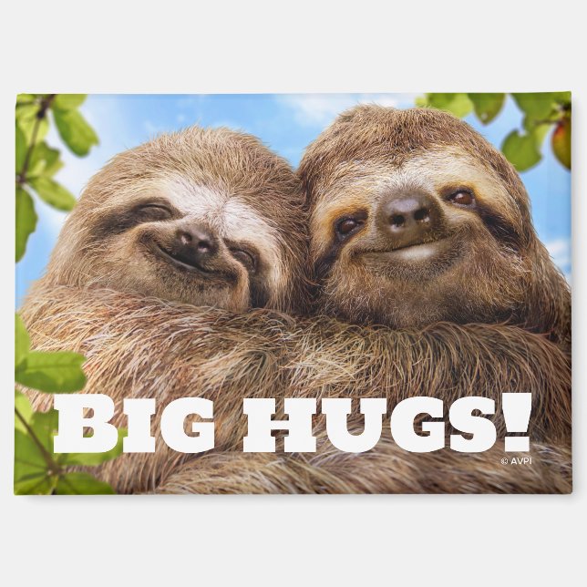 Sloth Couple Magnet (Front)
