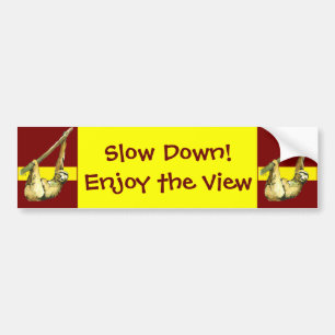 Sloth -Enjoy the view Bumper Sticker