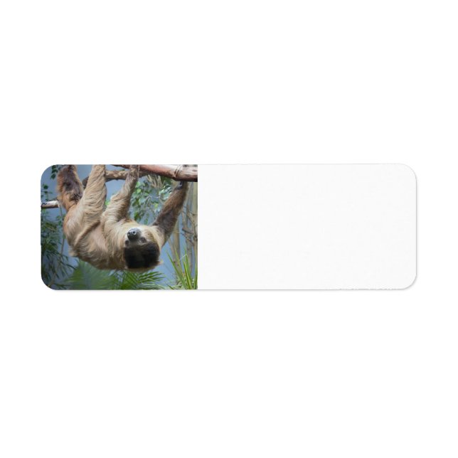 Sloth Étiquettes de adresse (Devant)
