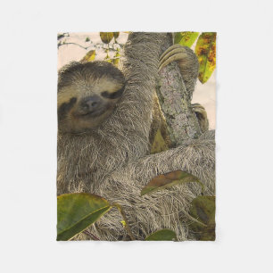 sloth fleece blanket