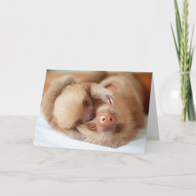 Sloth Greeting Card (Front)
