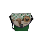 Sloth hanging out bag...