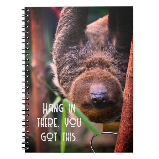 Sloth Hanging Out Funny Deck Of Notebook (Front)