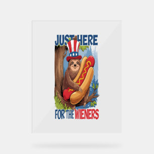 Sloth Hot Dog 4 juillet BBQ