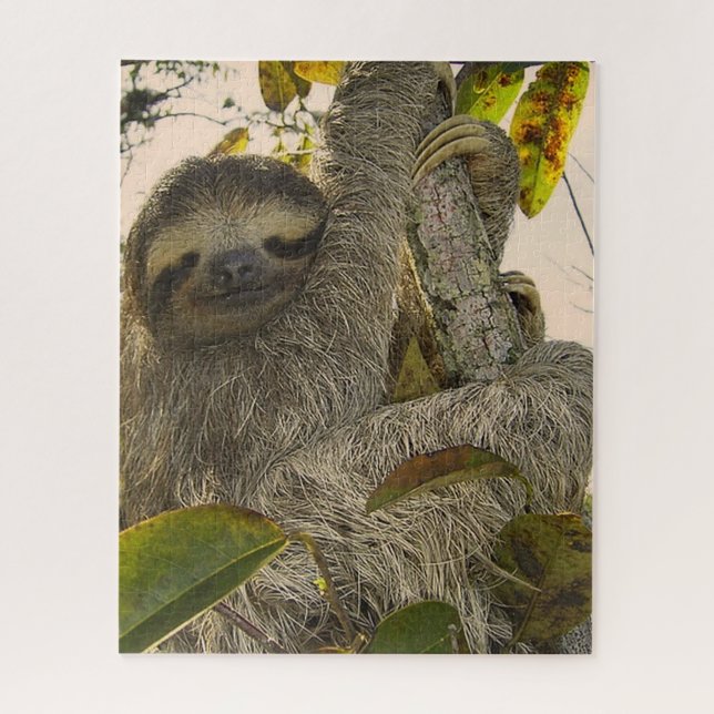 sloth jigsaw puzzle (Vertical)