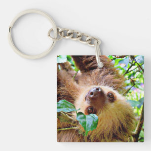 Sloth Keychain