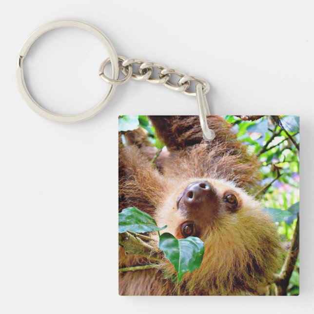 Sloth Keychain (Front)