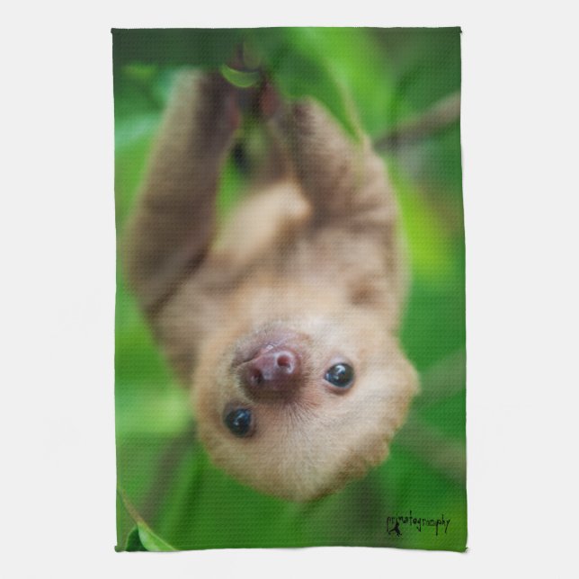 Sloth Kitchen Towel (Vertical)