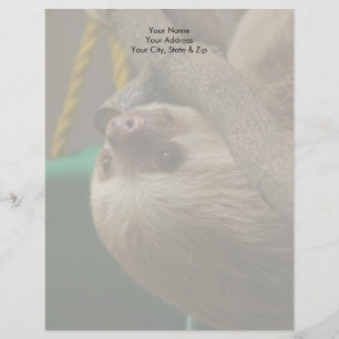 Sloth Letterhead