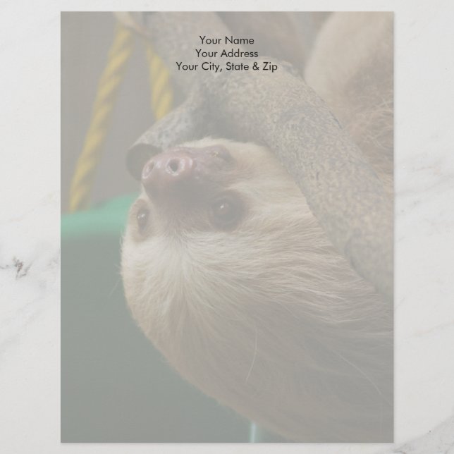 Sloth Letterhead (Front)