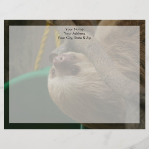 Sloth Letterhead