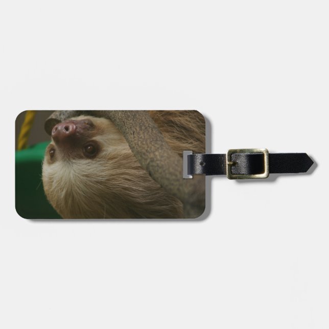 Sloth Luggage Tag (Front Horizontal)