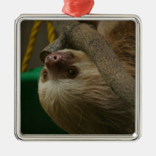 Sloth Metal Ornament