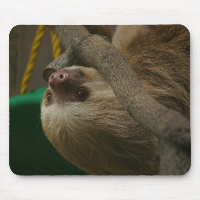 Sloth Mouse Pad (Front)