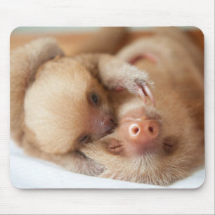 Sloth Mouse Pad