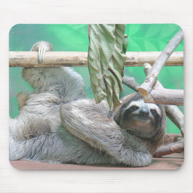 Sloth Mousepad (Front)