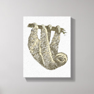 Sloth on Canvas Print