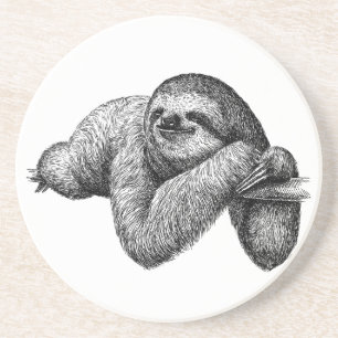 Sloth on tree coaster