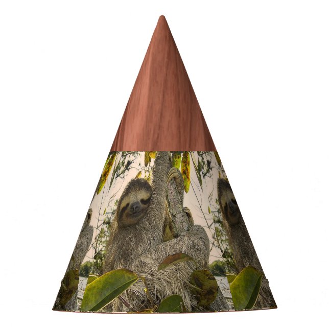 Sloth Party Hat (Front)