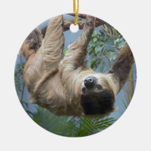 Sloth Photo Ceramic Ornament