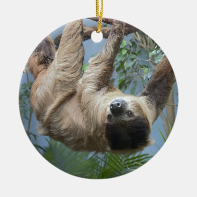 Sloth Photo Ceramic Ornament (Front)