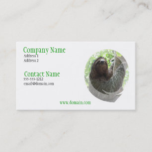 Sloth Photo Design Business Card