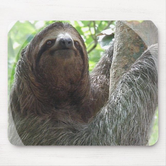 Sloth Photo Design Mouse Pad (Front)