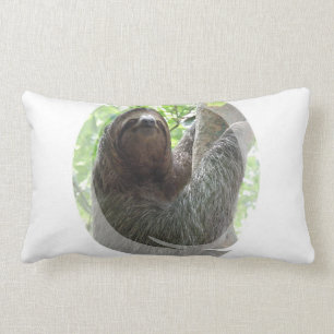 Sloth Photo Design Pillow