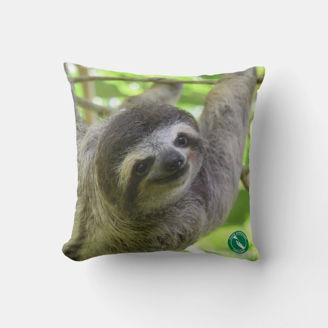 Sloth pillow for sloth lovers (Front)