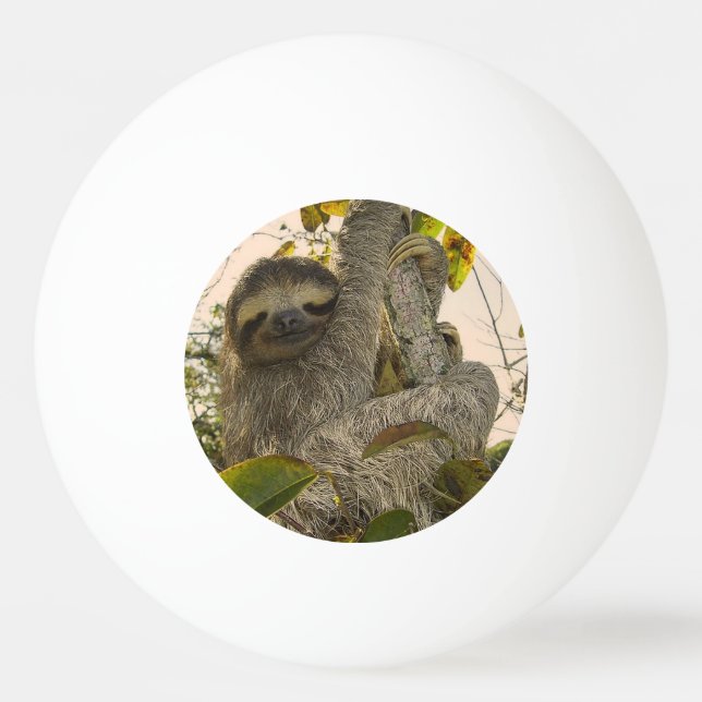 sloth ping pong ball (Front)