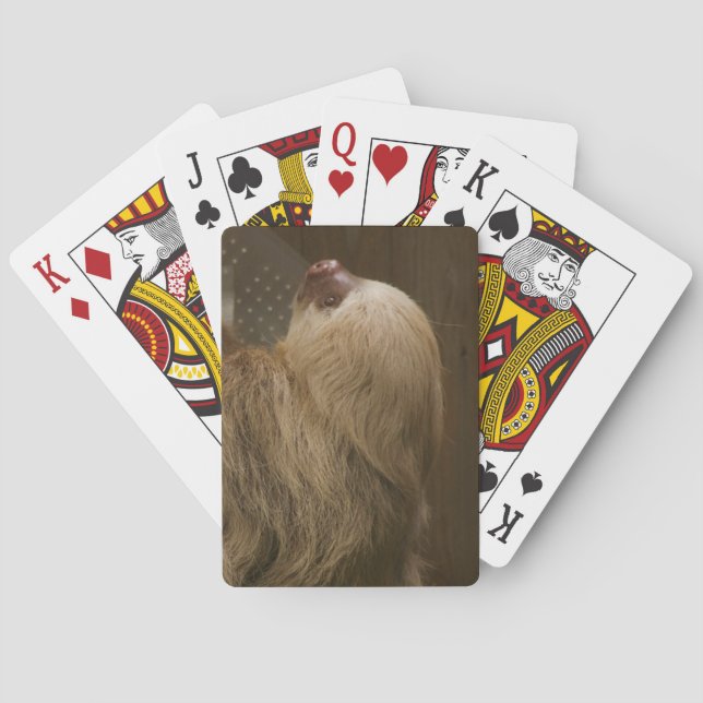 Sloth Playing Cards (Back)