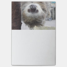 Sloth Post-It Notes