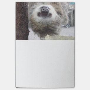 Sloth Post-It Notes