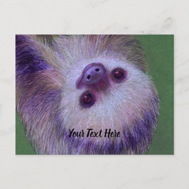 Sloth Postcard (Front)