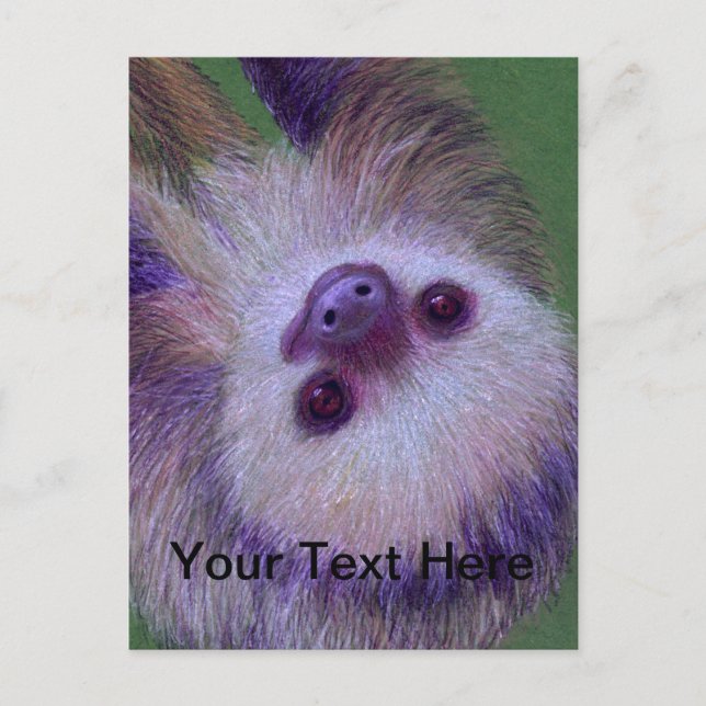 Sloth Postcard (Front)
