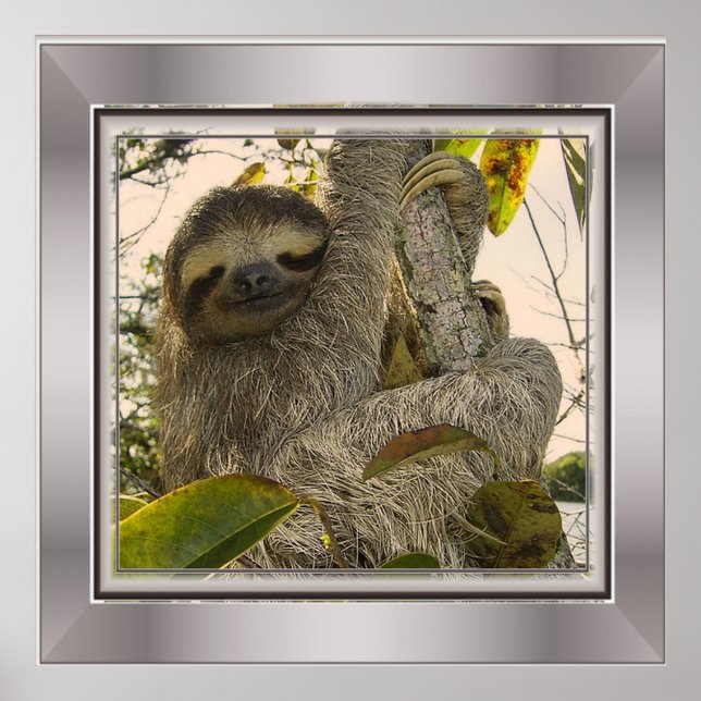 sloth poster (Front)