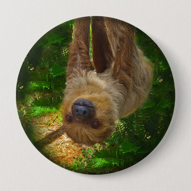 Sloth Rainforest Button (Front)