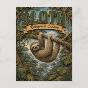Sloth Rainforest Canopy POPCUT Postcard