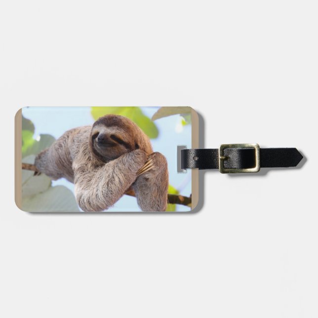 Sloth resting on tree branch luggage tag (Front Horizontal)