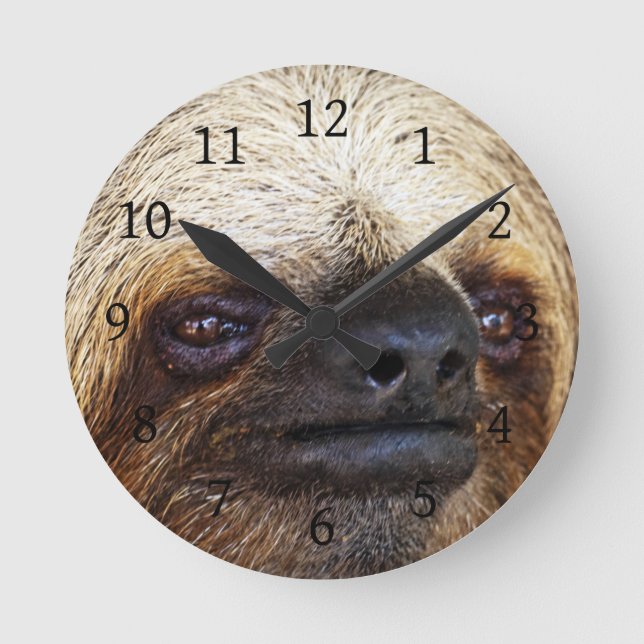 Sloth Round Clock (Front)