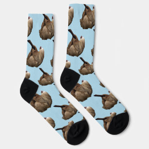Sloth Socks