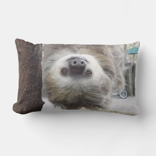 Sloth Throw Pillow (Front)