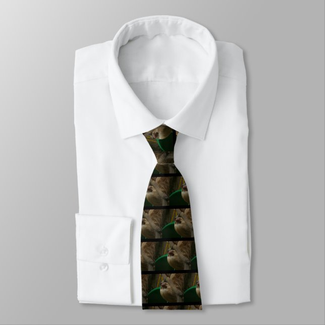 Sloth Tie (Tied)