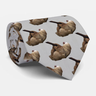 Sloth Tie