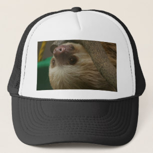 Sloth Trucker Hat