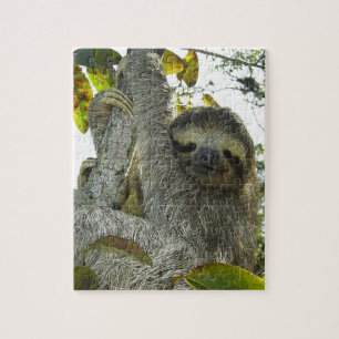 Sloth Up A Tree Jigsaw Puzzle